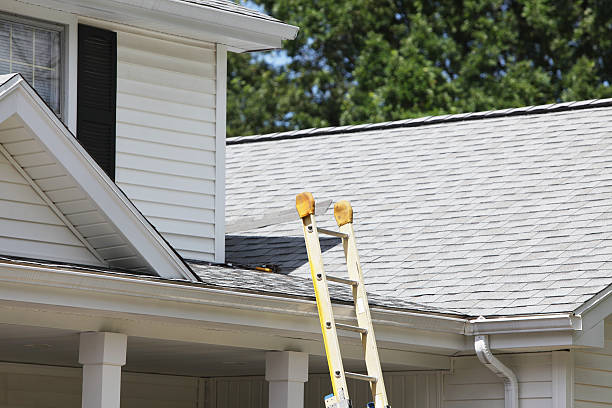 Best Stucco Siding  in Agua Dulce, CA